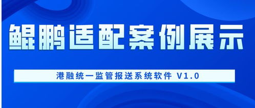 鲲鹏适配案例展示 港融统一监管报送系统软件 v1.0 与信息技术咨询服务