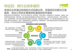 2019年中国教育信息化行业报告 信息技术咨询服务